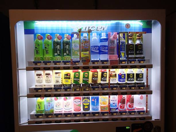 Imagen de los interiores del Hotel Shinsuien. Foto 12