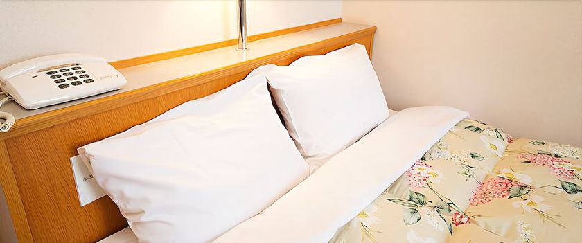 Imagen de la habitación del Hotel Shinsuien. Foto 8