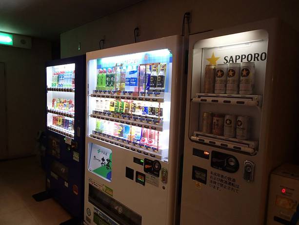 Imagen de los interiores del Hotel Shinsuien. Foto 13