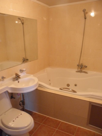 Imagen de la habitación del Hotel Shinsung Hotel. Foto 3