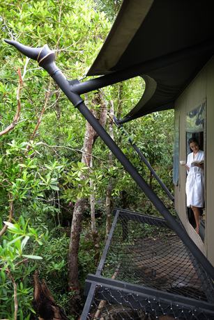 Imagen de la habitación del Hotel Shinta Mani Wild. Foto 3