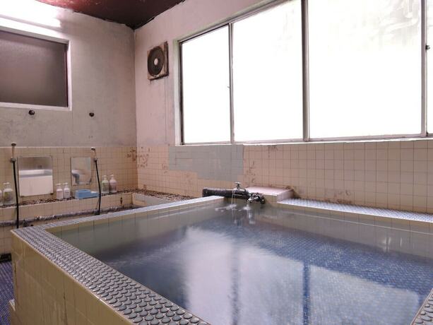 Imagen de la habitación del Hotel Shintaku Sanso. Foto 8