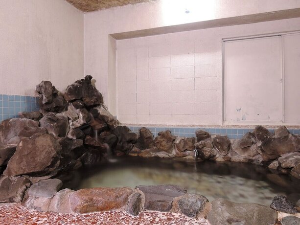 Imagen de la habitación del Hotel Shintaku Sanso. Foto 9