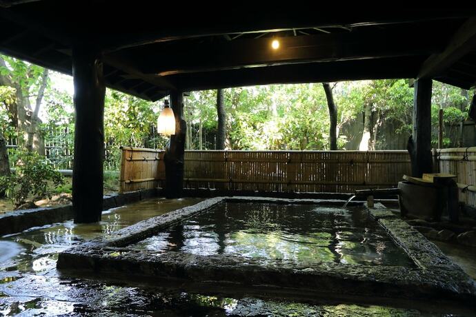 Imagen general del Hotel Shinwaen. Foto 6