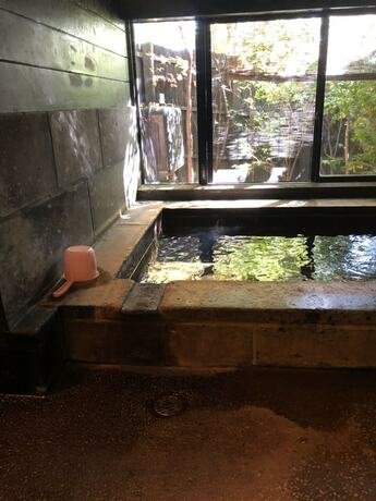 Imagen general del Hotel Shinwaen. Foto 16