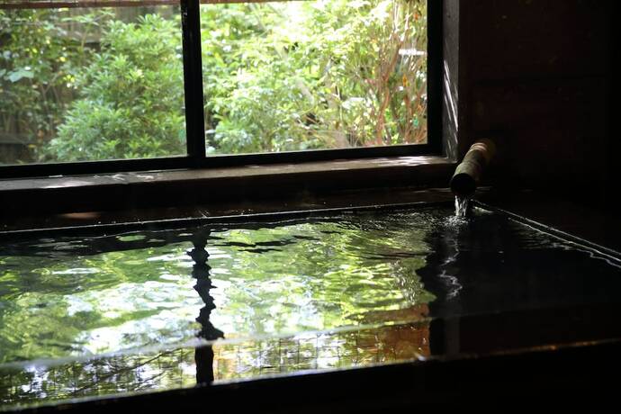 Imagen general del Hotel Shinwaen. Foto 19