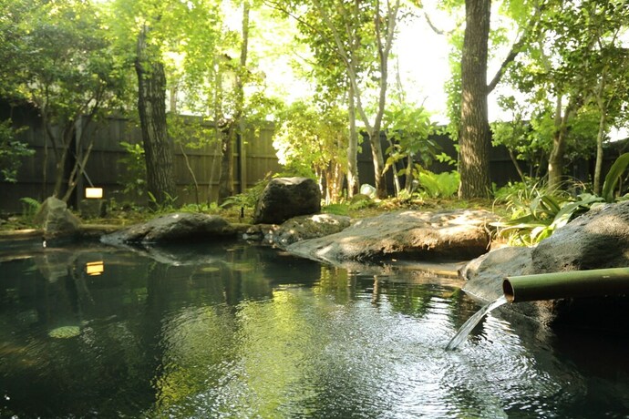 Imagen general del Hotel Shinwaen. Foto 2