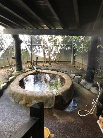 Imagen de la habitación del Hotel Shinwaen. Foto 32