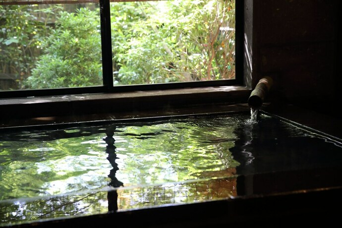 Imagen de la piscina del Hotel Shinwaen. Foto 37