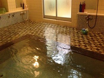 Imagen de la piscina del Hotel Shinwaka Lodge. Foto 8