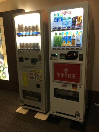 Imagen de los interiores del Hotel Shinzan Rakutei. Foto 17