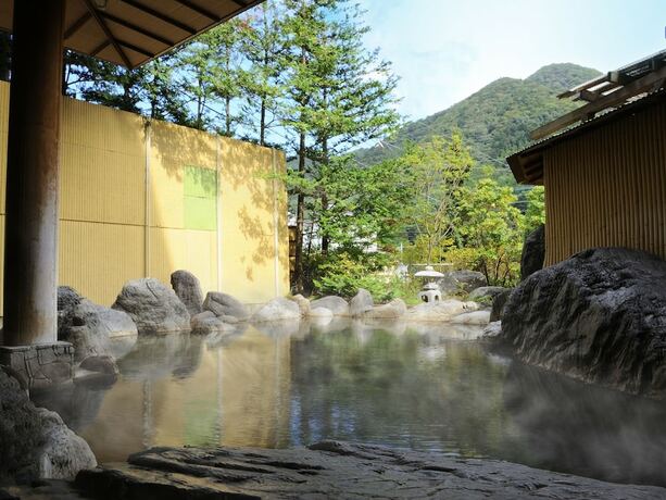 Imagen general del Hotel Shiobara Onsen Yashio Lodge. Foto 5