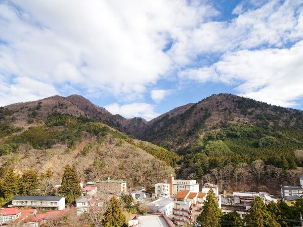 Imagen general del Hotel Shiobara Onsen Yashio Lodge. Foto 7