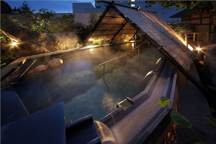 Imagen de la piscina del Hotel Shion. Foto 14