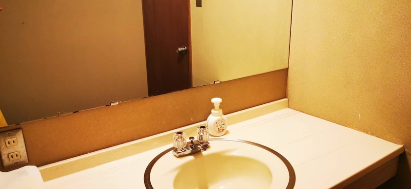 Imagen de la habitación del Hotel Shiozawa Onsen Shichihokan. Foto 12