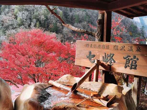 Imagen general del Hotel Shiozawa Onsen Shichihokan. Foto 1