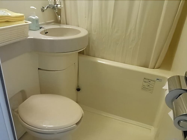 Imagen de la habitación del Hotel Shirakabako Paipu No Kemuri. Foto 7