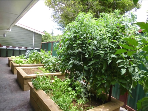 Imagen de los exteriores del Hotel Shiralee Executive Cottages. Foto 15