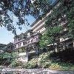 Imagen del Hotel Shirasagi Yu Tawaraya. Foto 3