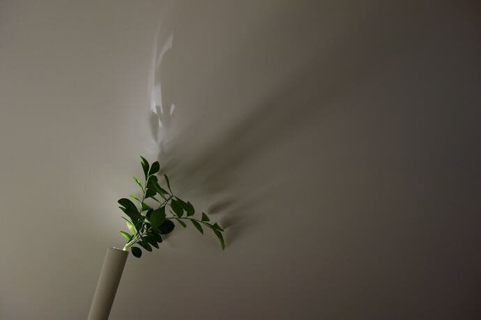 Imagen de la habitación del Hotel Shiroiya. Foto 12
