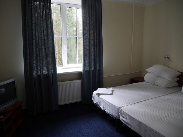 Imagen de la habitación del Hotel Shishki Na Lampushke. Foto 5