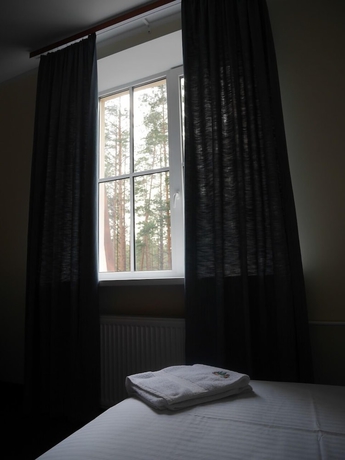 Imagen de la habitación del Hotel Shishki Na Lampushke. Foto 6