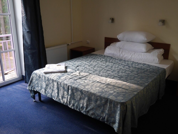 Imagen de la habitación del Hotel Shishki Na Lampushke. Foto 7