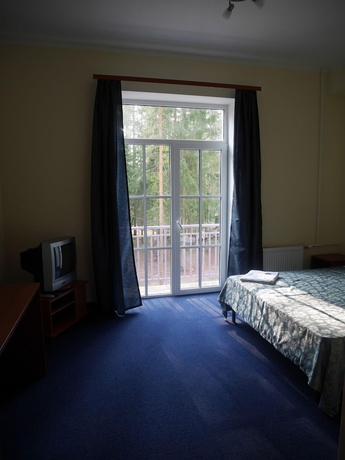 Imagen de la habitación del Hotel Shishki Na Lampushke. Foto 8