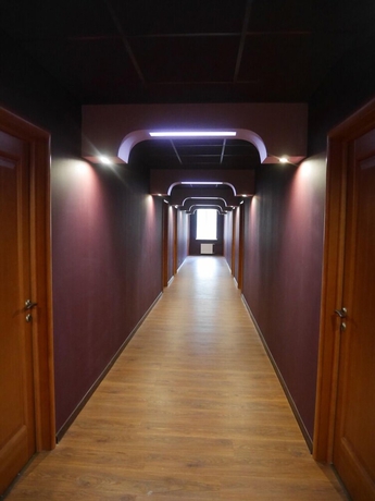 Imagen de los interiores del Hotel Shishki Na Lampushke. Foto 16