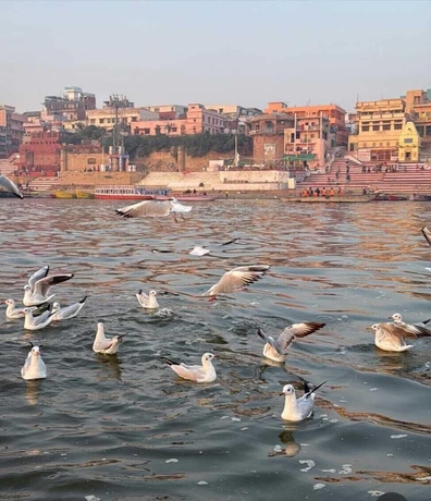 Imagen general del Hotel Shiv Kashi P Guest House By Glitzs. Foto 1
