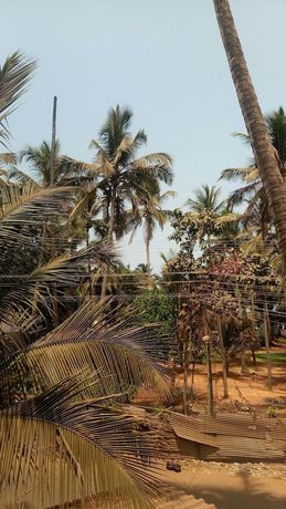 Imagen general del Hotel Shiva Ashvem. Foto 2