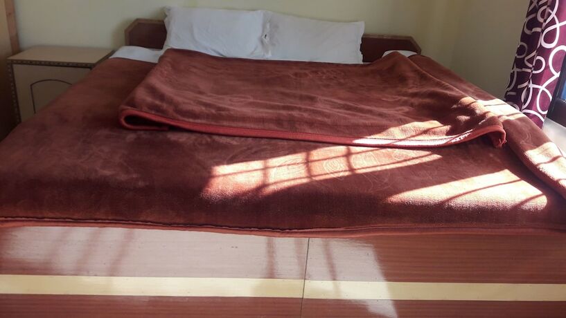 Imagen general del Hotel Shivalik Guest House. Foto 3