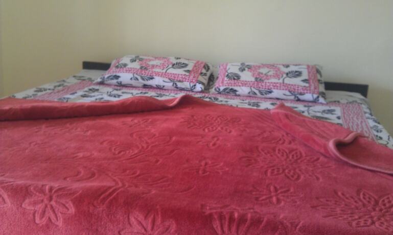 Imagen general del Hotel Shivalik Guest House. Foto 5