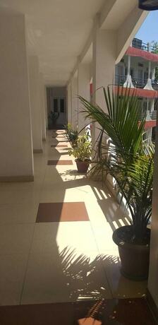 Imagen general del Hotel Shivay. Foto 2
