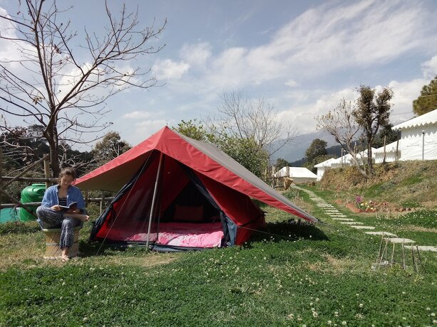 Imagen general del Hotel Shivirama. Foto 6