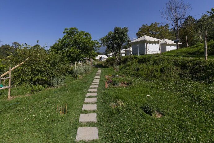 Imagen general del Hotel Shivirama. Foto 11