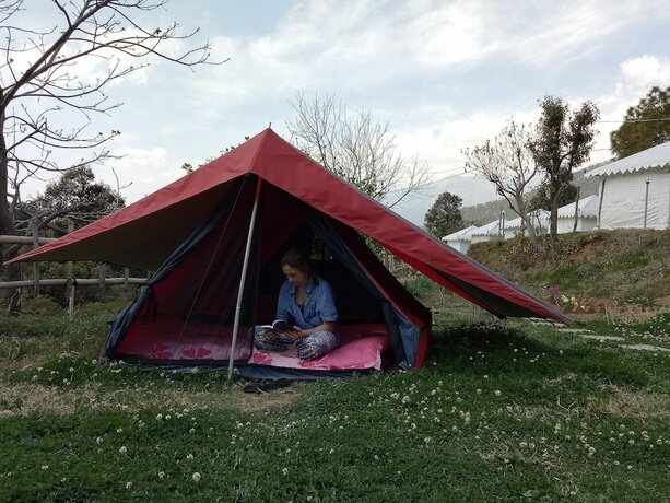 Imagen de la habitación del Hotel Shivirama. Foto 17