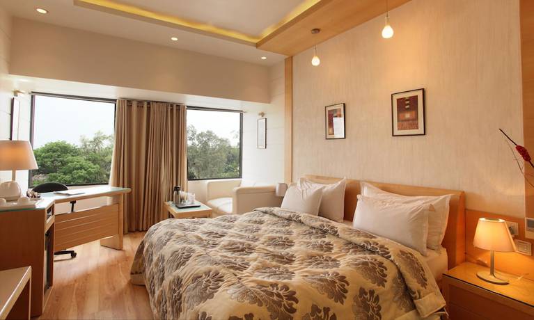 Imagen de la habitación del Hotel Shivoy. Foto 13
