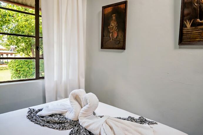 Imagen de la habitación del Hotel Shoestrings Backpackers and Bar. Foto 12