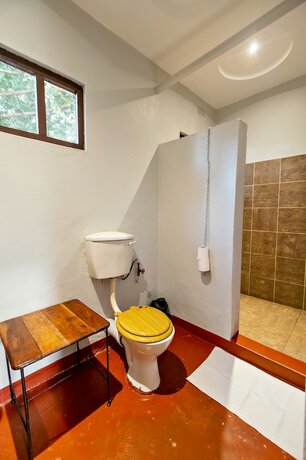 Imagen de la habitación del Hotel Shoestrings Backpackers and Bar. Foto 14