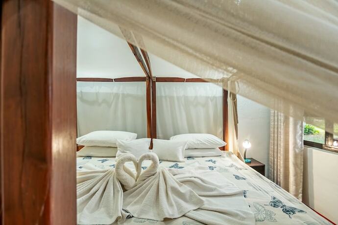Imagen de la habitación del Hotel Shoestrings Backpackers and Bar. Foto 15