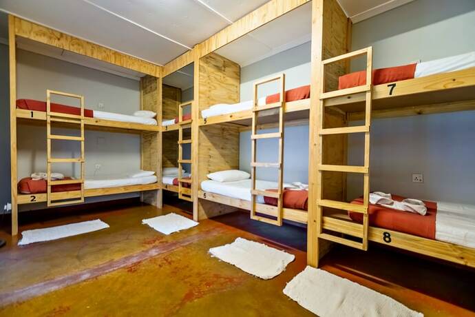 Imagen de la habitación del Hotel Shoestrings Backpackers and Bar. Foto 16