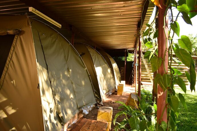 Imagen general del Hotel Shoestrings Backpackers and Bar. Foto 2
