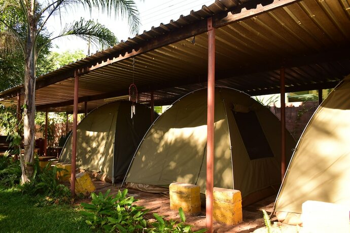 Imagen de la habitación del Hotel Shoestrings Backpackers and Bar. Foto 19