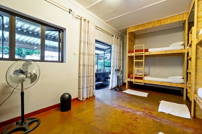 Imagen de la habitación del Hotel Shoestrings Backpackers and Bar. Foto 20