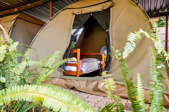 Imagen general del Hotel Shoestrings Backpackers and Bar. Foto 10