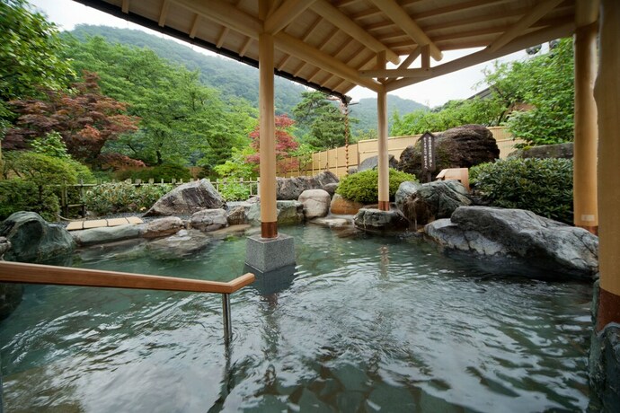 Imagen general del Hotel Shogawa Onsen Furyu Midou Zashiki YUMETSUZURI. Foto 3