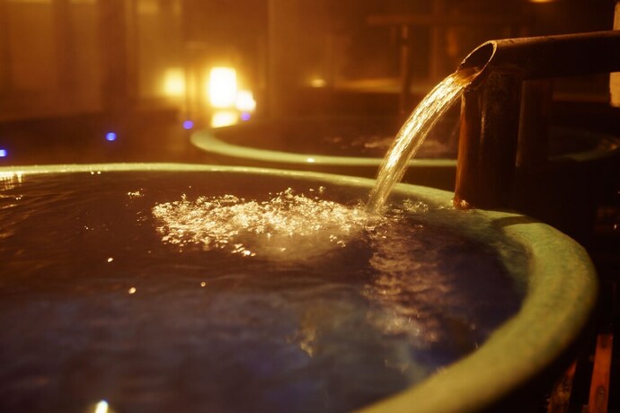 Imagen general del Hotel Shogawa Onsen Furyu Midou Zashiki YUMETSUZURI. Foto 5