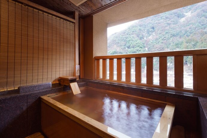 Imagen general del Hotel Shogawa Onsen Furyu Midou Zashiki YUMETSUZURI. Foto 6