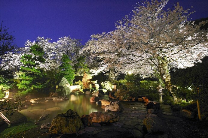 Imagen general del Hotel Shogawa Onsen Furyu Midou Zashiki YUMETSUZURI. Foto 8